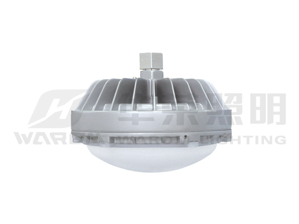 Explosion Proof Solid State Lighting Lamp RLEEXL608